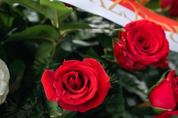dsc00138