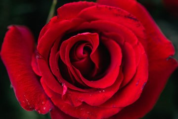 dsc00144