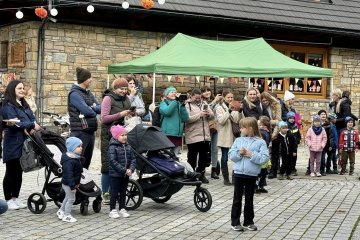 56513778612271091794550077863365399896972781n