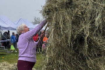 img4252