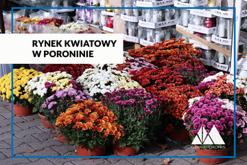 obrazek Rynek kwiatowy w Poroninie